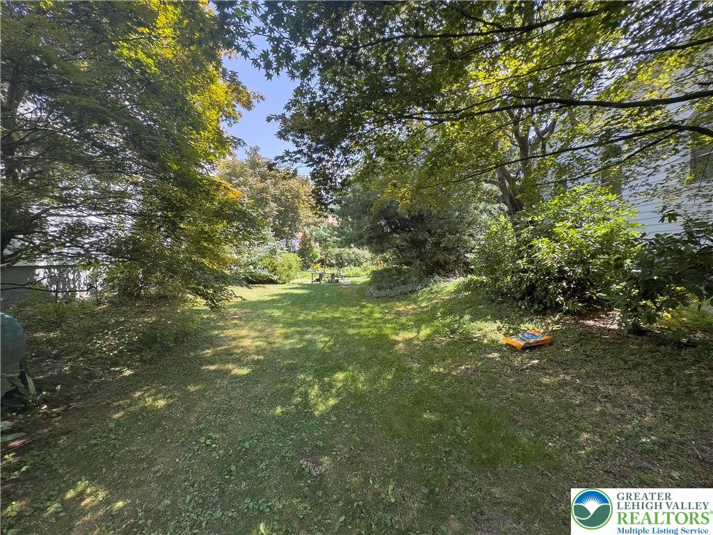 608 McKinley Street Hazleton, PA 18201 - Photo 54 of 59 a picture of tree