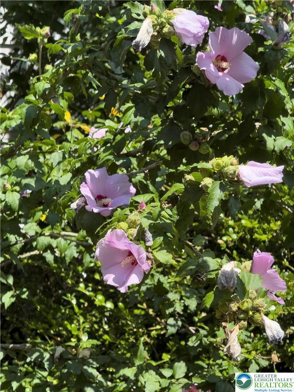 608 McKinley Street Hazleton, PA 18201 - Photo 57 of 59 a small garden