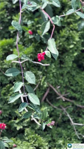 $369,000 | 608 McKinley Street, Hazleton, PA 18201