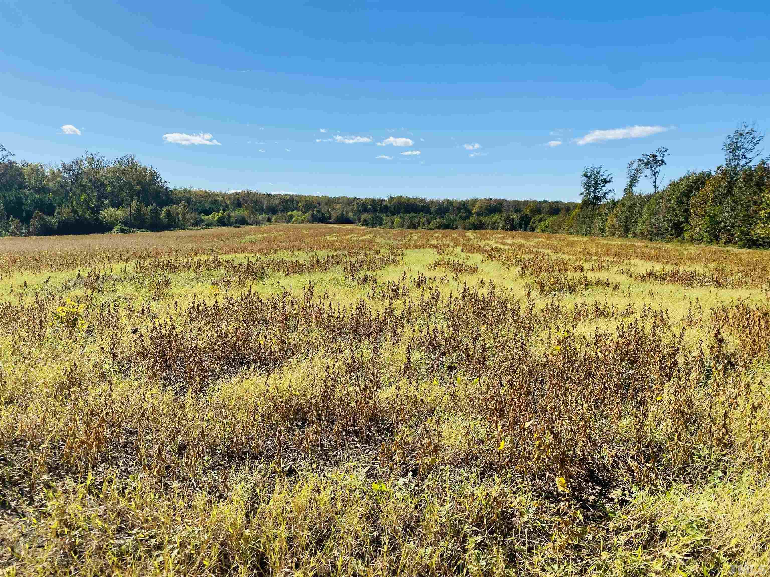 Walker Avenue Norlina, NC 27563 - Photo 2 of 4