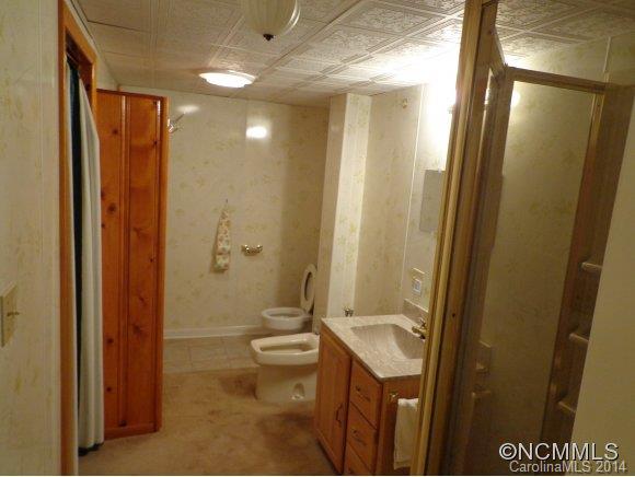 40 Emmas Grove Road Fletcher, NC 28732 - Photo 18 of 23 Gallery Image 18