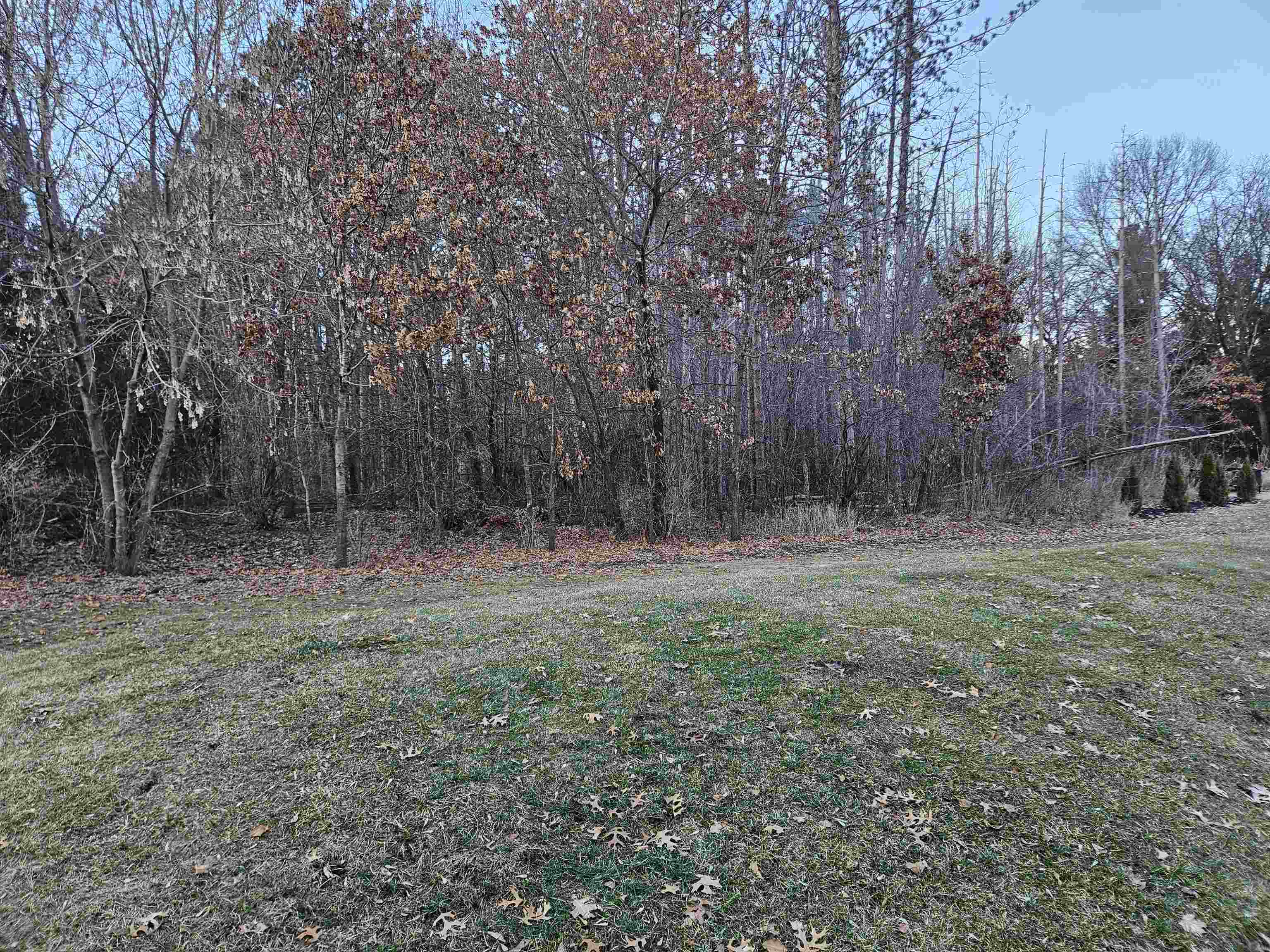 S2943 Fairway Drive Reedsburg, WI 53959 - Photo 10 of 37