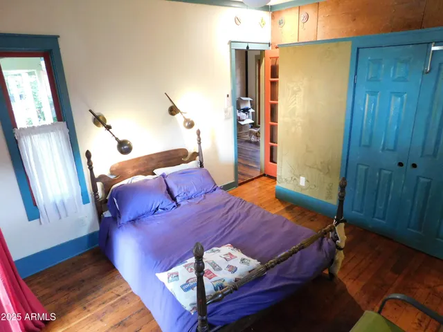 a view of a garden with plants