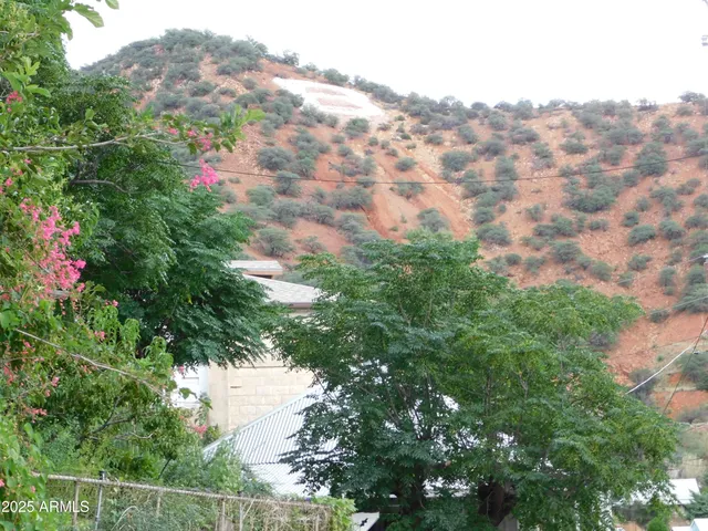 a view of a house with a mountain yard