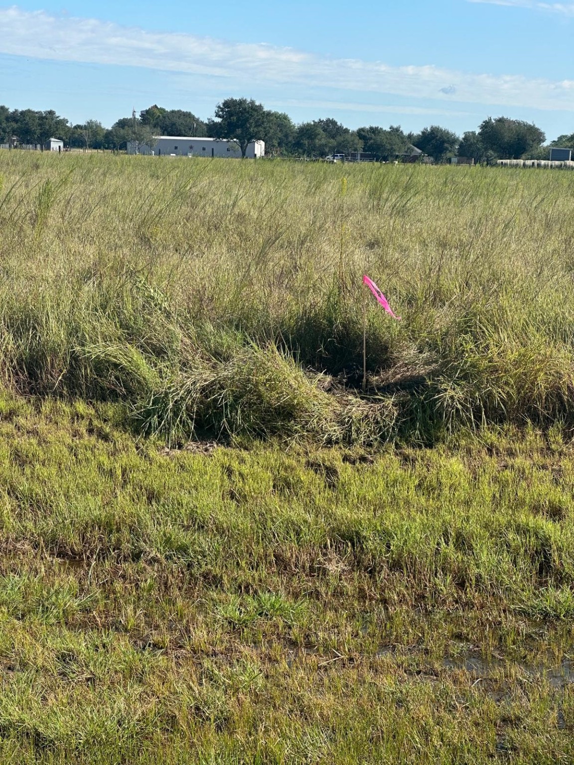 0 Highway 36 Expressway South Guy, TX 77444 - Photo 1 of 4 a view of a lake with a mountain