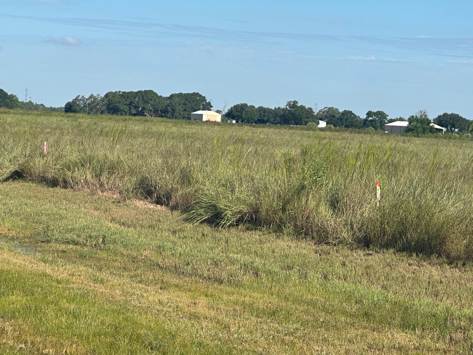 0 Highway 36 Expressway South Guy, TX 77444 - Photo 2 of 4 a view of lake