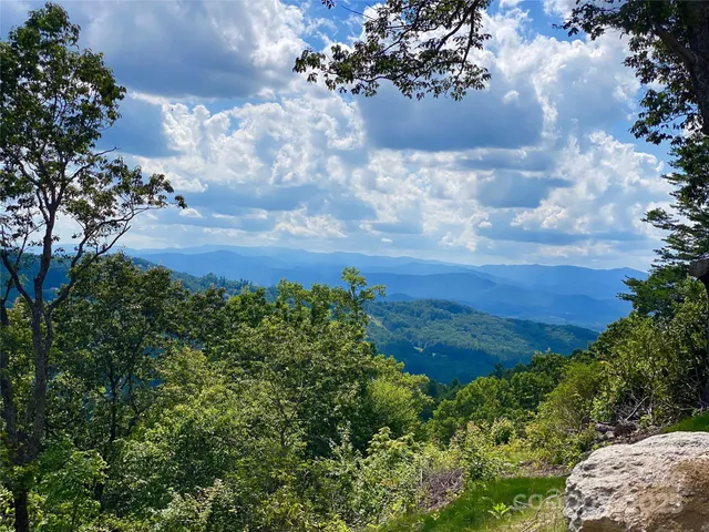 a view of a bunch of trees and bushes