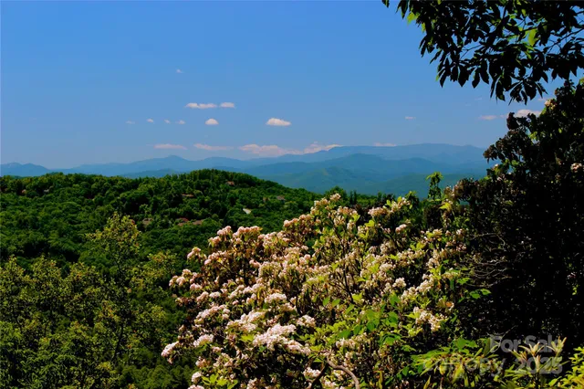a view of lake with mountain