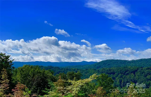 a view of a lush green field with a tree in the background
