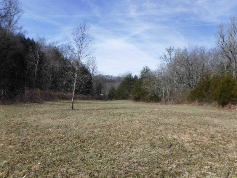 141 Wolf Creek Road Silver Point, TN 38582 - Photo 1 of 29 USE AS MAIN