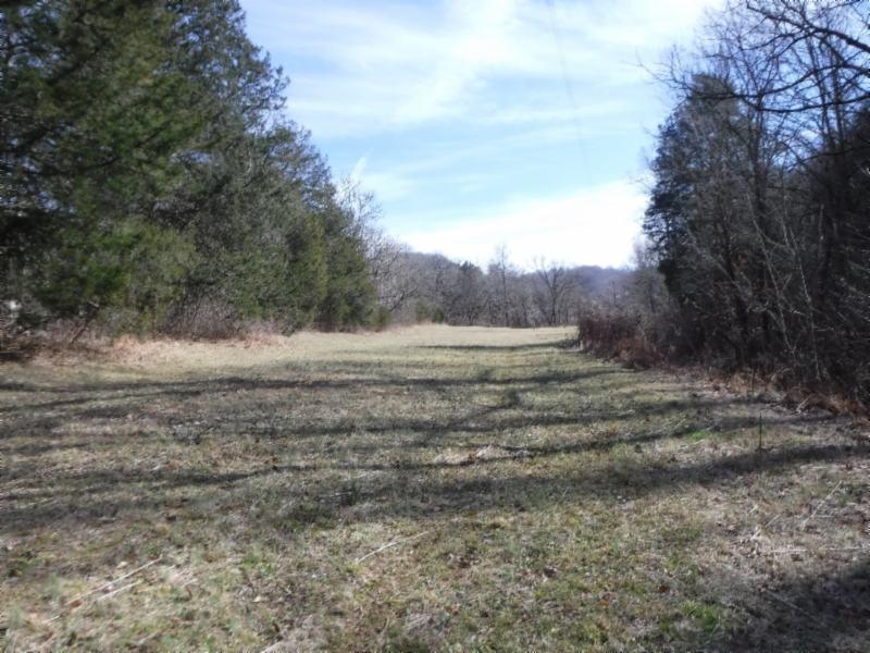 141 Wolf Creek Road Silver Point, TN 38582 - Photo 11 of 29 01312018 047