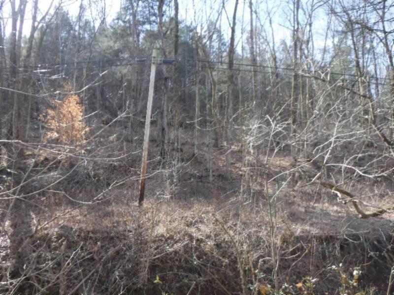 141 Wolf Creek Road Silver Point, TN 38582 - Photo 12 of 29 01312018 048