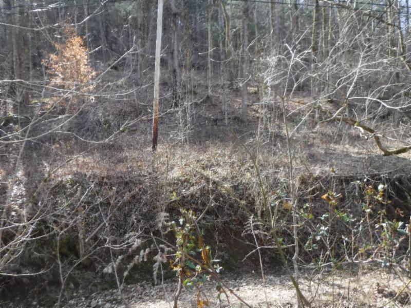 141 Wolf Creek Road Silver Point, TN 38582 - Photo 13 of 29 01312018 049