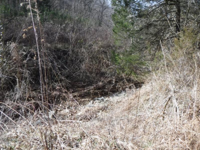 141 Wolf Creek Road Silver Point, TN 38582 - Photo 15 of 29 01312018 051