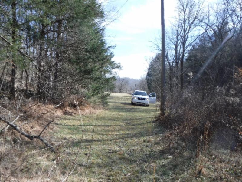 141 Wolf Creek Road Silver Point, TN 38582 - Photo 16 of 29 01312018 055