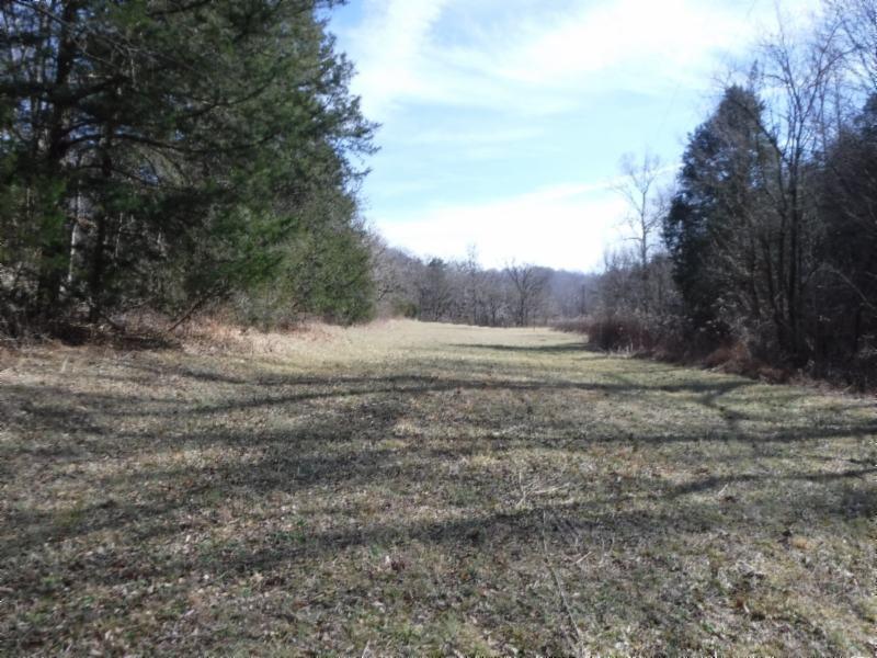 141 Wolf Creek Road Silver Point, TN 38582 - Photo 17 of 29 01312018 056