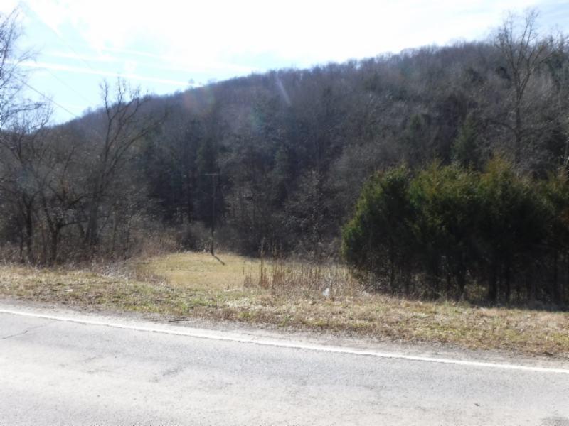 141 Wolf Creek Road Silver Point, TN 38582 - Photo 21 of 29 01312018 061