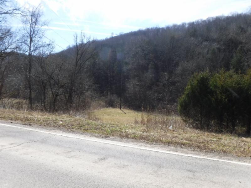 141 Wolf Creek Road Silver Point, TN 38582 - Photo 25 of 29 DRIVEWAY