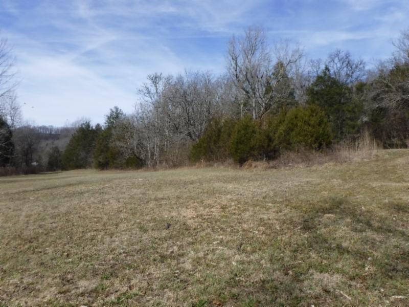 141 Wolf Creek Road Silver Point, TN 38582 - Photo 4 of 29 01312018 039