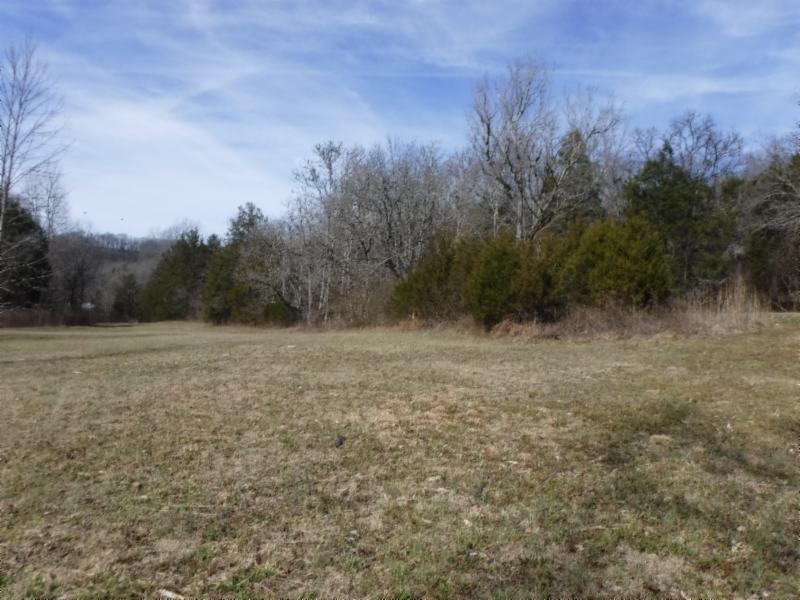 141 Wolf Creek Road Silver Point, TN 38582 - Photo 5 of 29 01312018 040