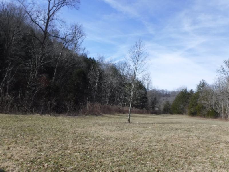141 Wolf Creek Road Silver Point, TN 38582 - Photo 6 of 29 01312018 042