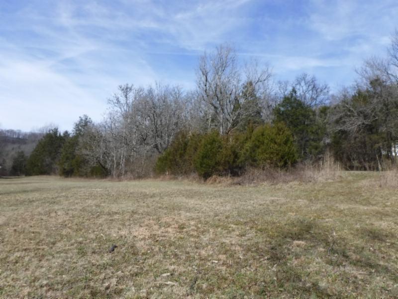 141 Wolf Creek Road Silver Point, TN 38582 - Photo 7 of 29 01312018 043