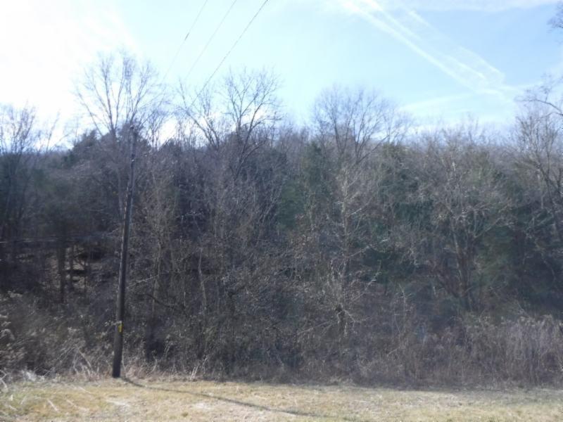 141 Wolf Creek Road Silver Point, TN 38582 - Photo 8 of 29 01312018 044