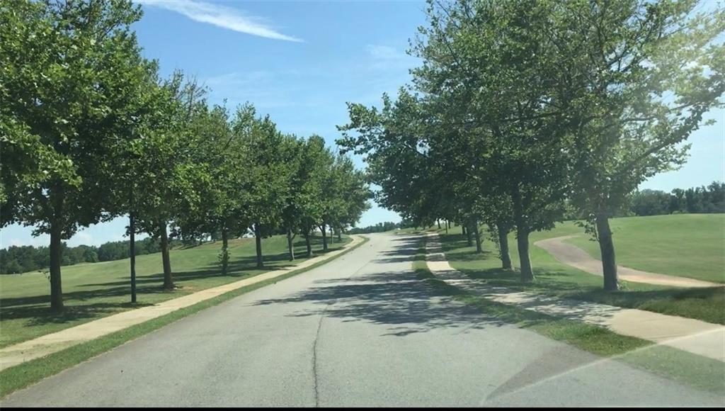 a view of park with tree