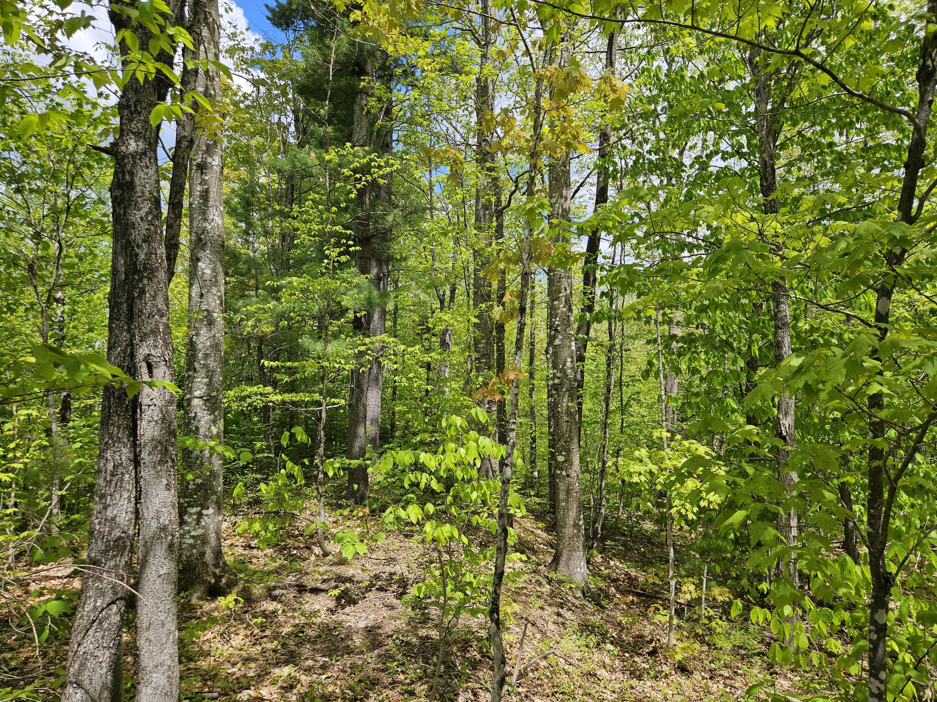 2 Mud Pond Road Madrid Township, ME 04966 - Photo 35 of 42 Madrid Lot