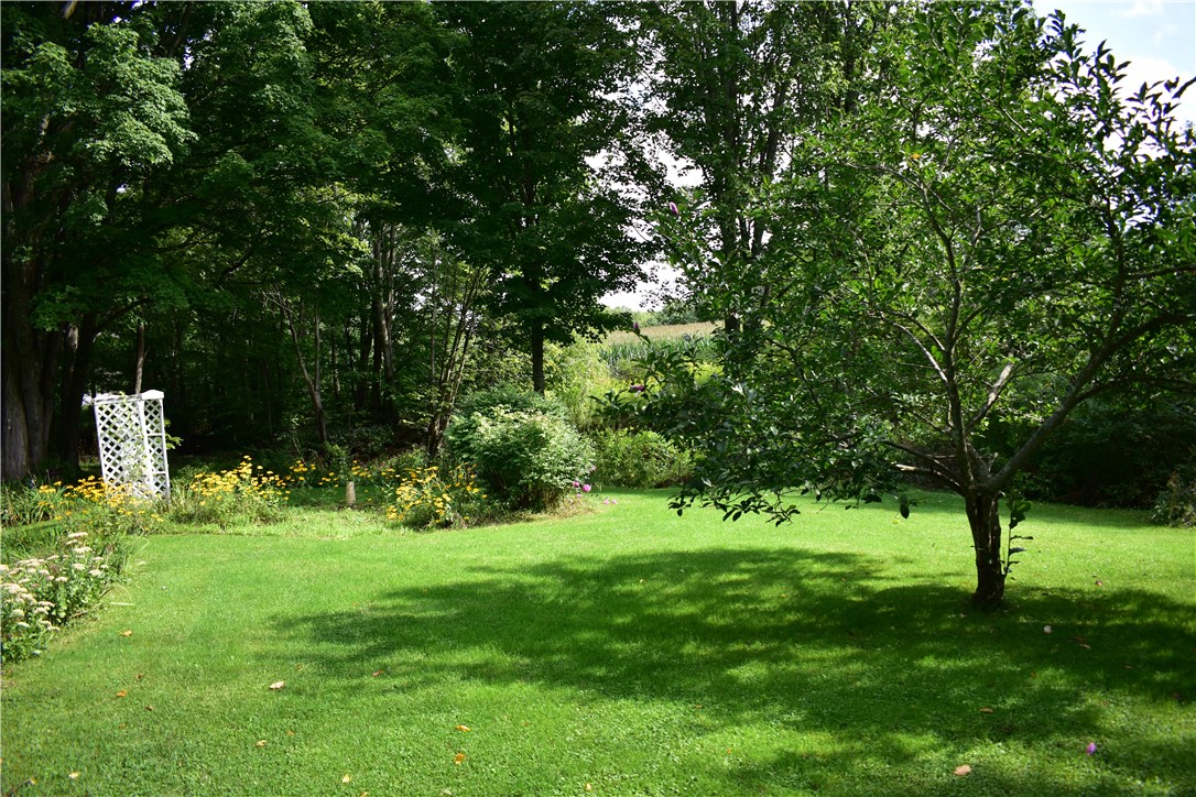 70 School View Drive Roxbury, NY 12434 - Photo 10 of 40 Gallery Image 10