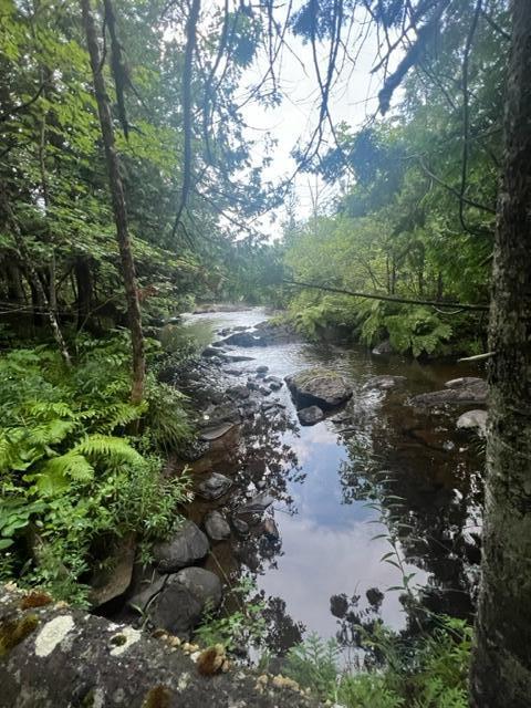 M2-l2 Back Ridge Road Houlton, ME 04730 - Photo 25 of 79 IMG_0668