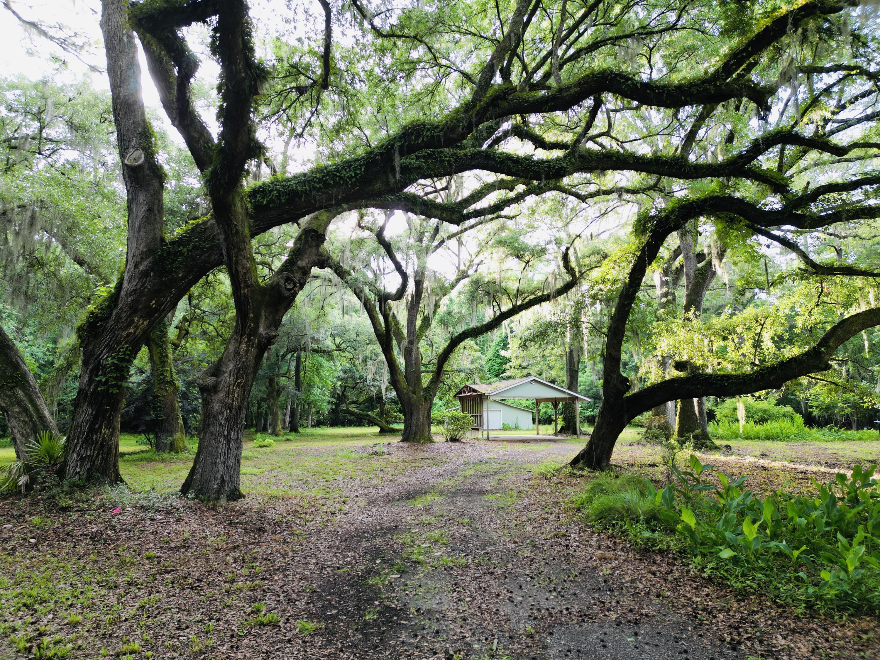 2164 A River Road Johns Island, SC 29455 - Photo 1 of 37 1
