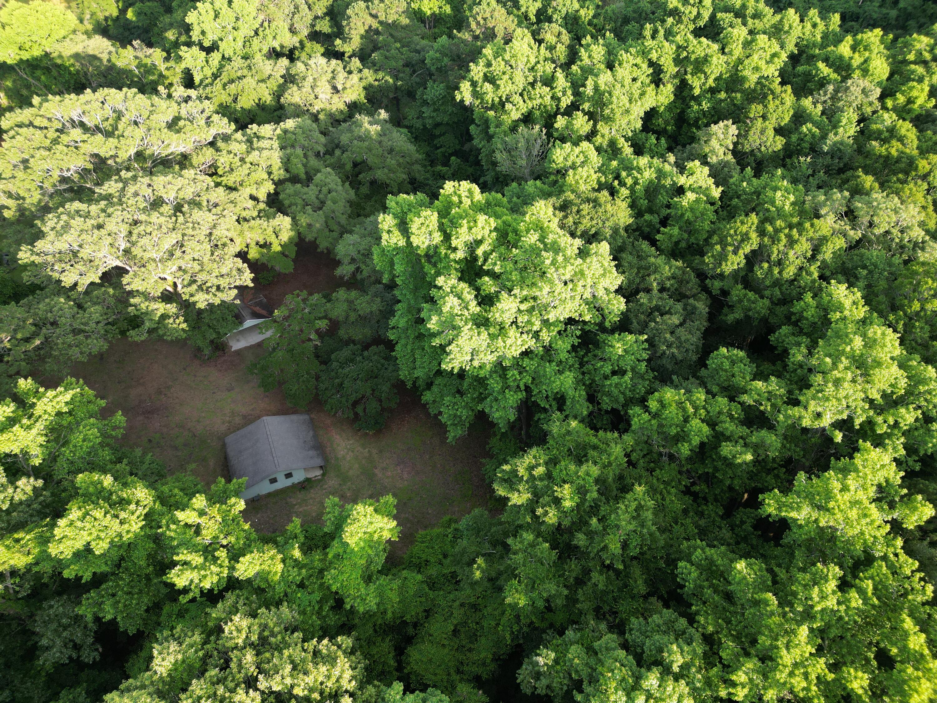 2164 A River Road Johns Island, SC 29455 - Photo 12 of 37 12