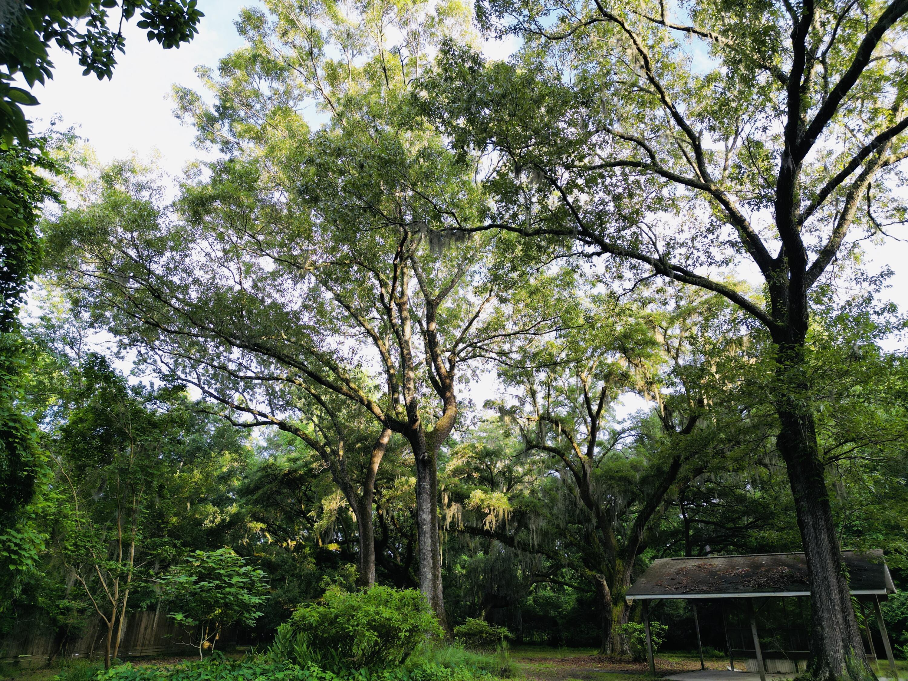 2164 A River Road Johns Island, SC 29455 - Photo 14 of 37 14