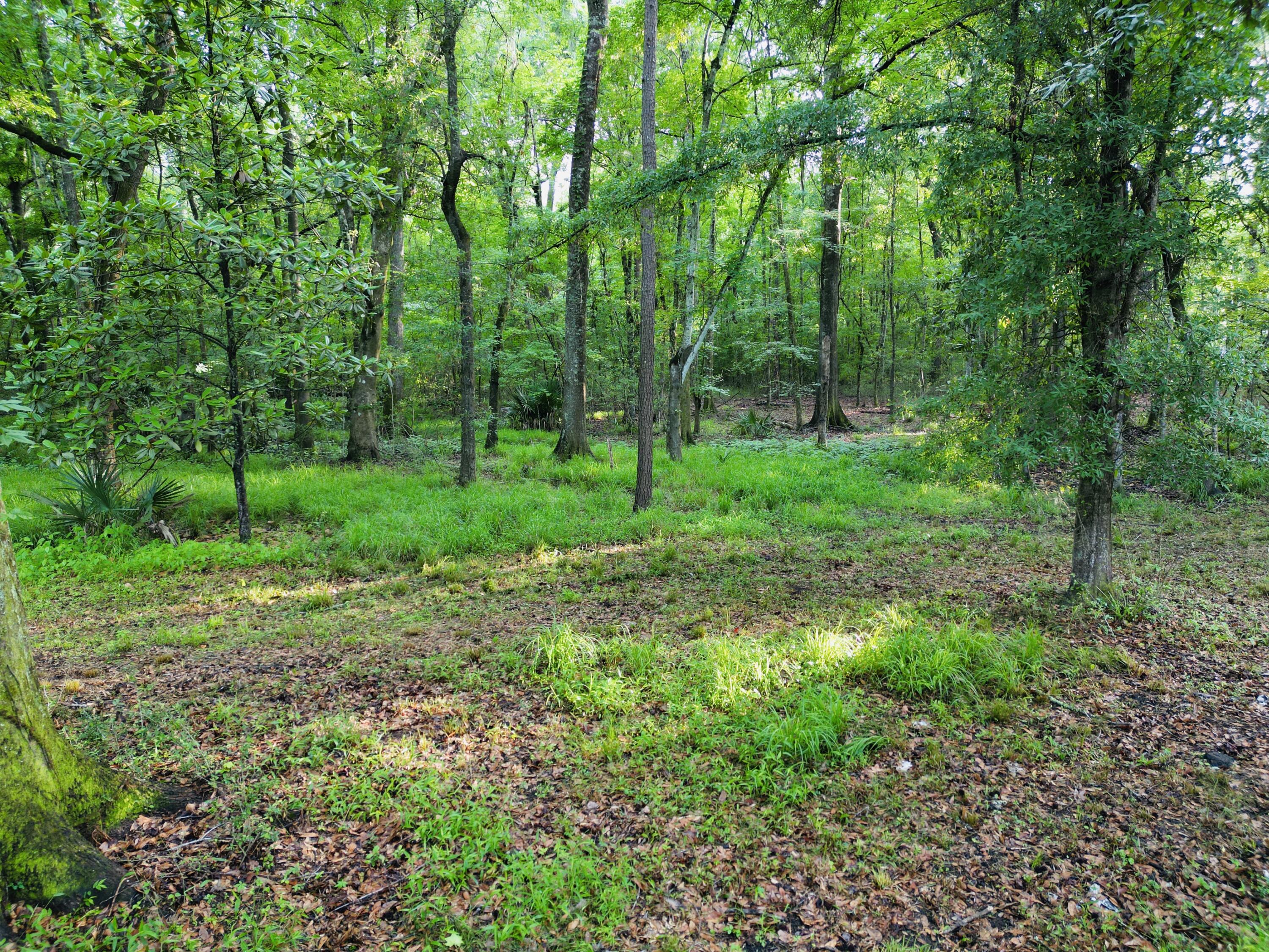 2164 A River Road Johns Island, SC 29455 - Photo 20 of 37 22