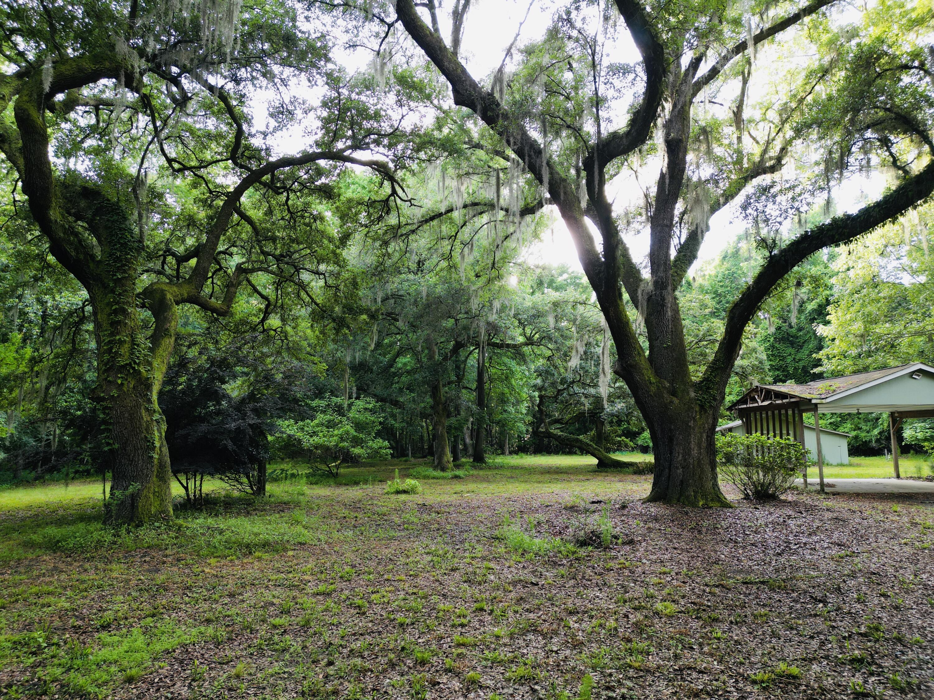 2164 A River Road Johns Island, SC 29455 - Photo 2 of 37 2