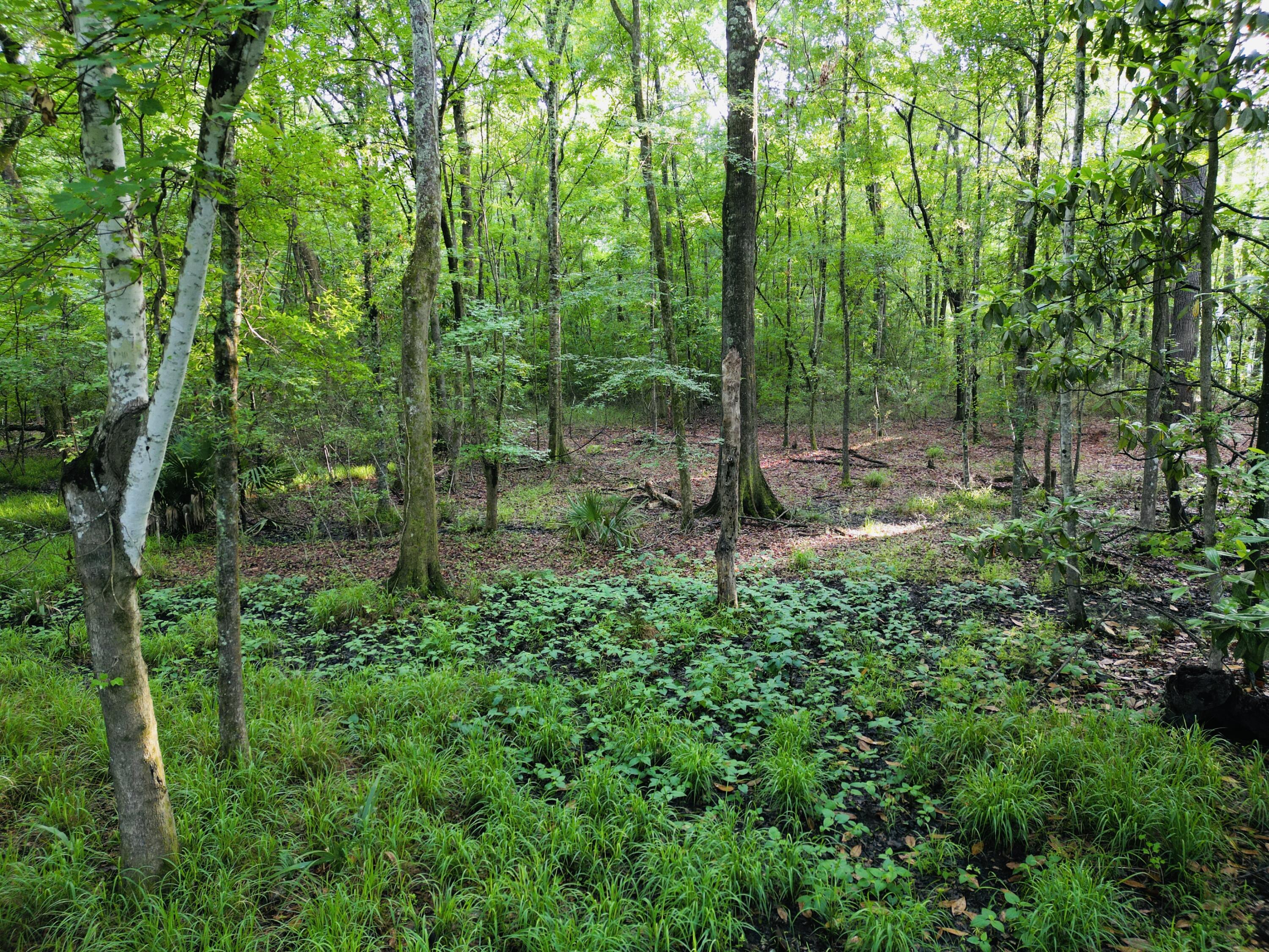 2164 A River Road Johns Island, SC 29455 - Photo 21 of 37 23