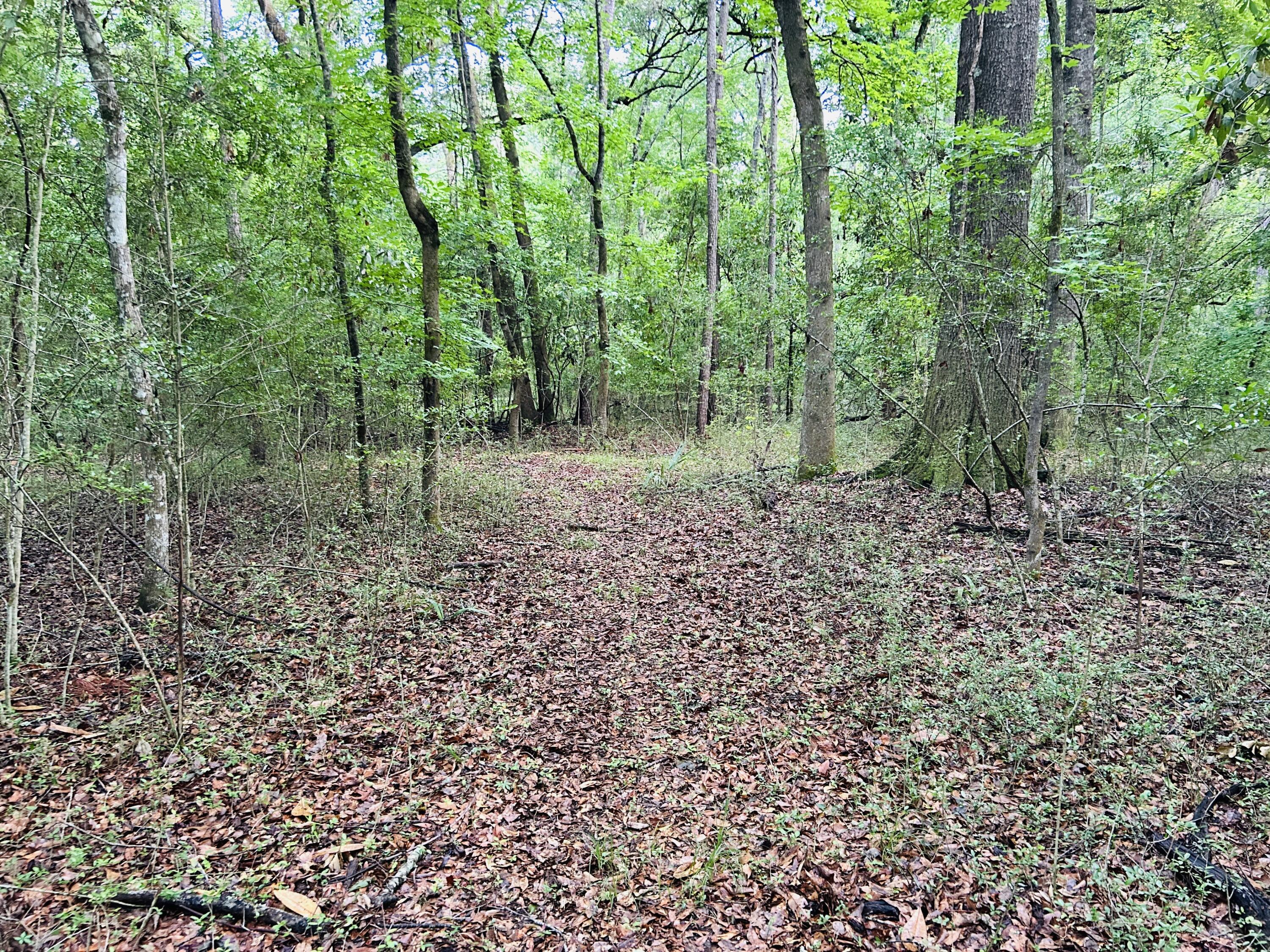 2164 A River Road Johns Island, SC 29455 - Photo 23 of 37 25
