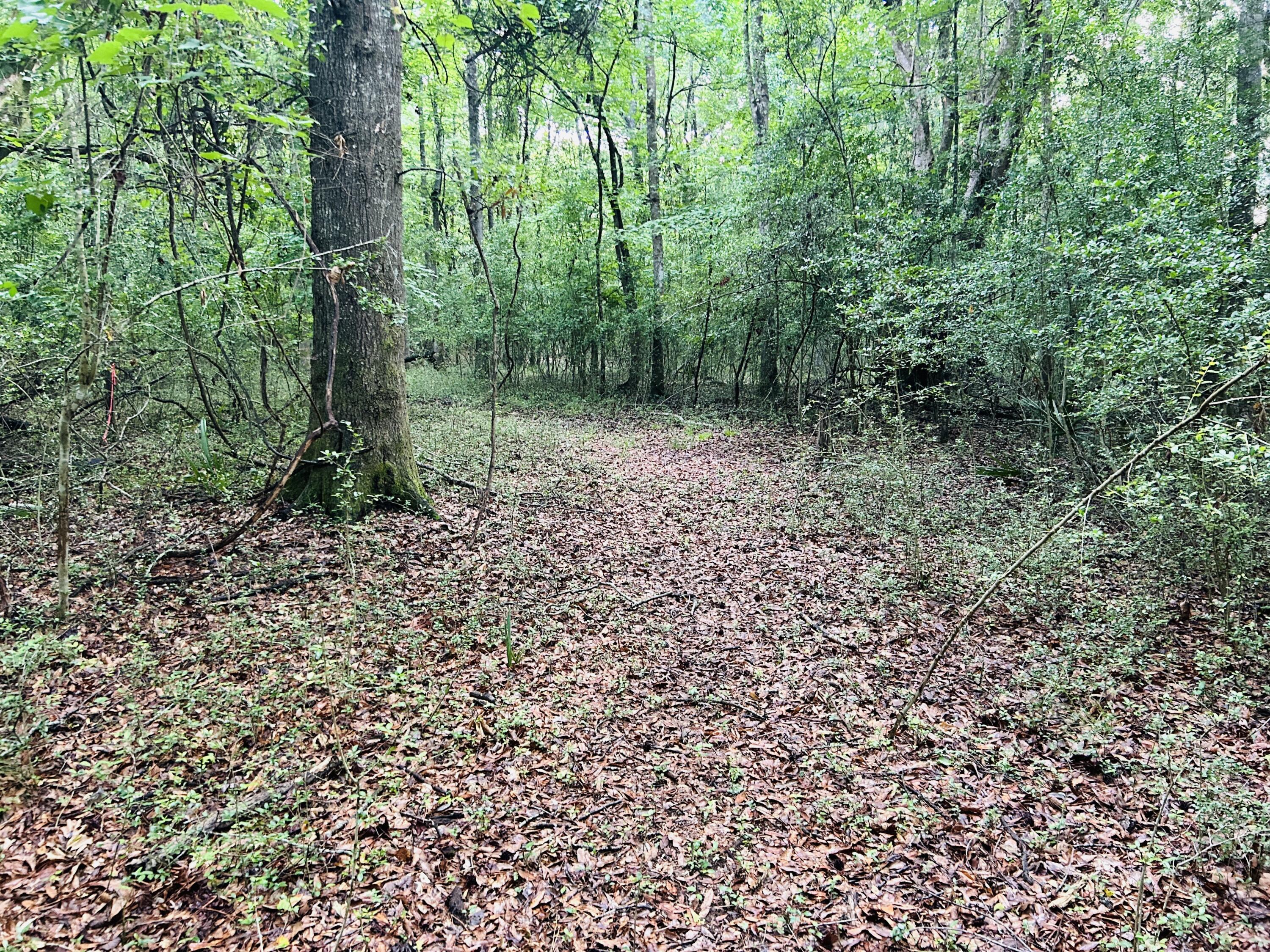 2164 A River Road Johns Island, SC 29455 - Photo 24 of 37 26