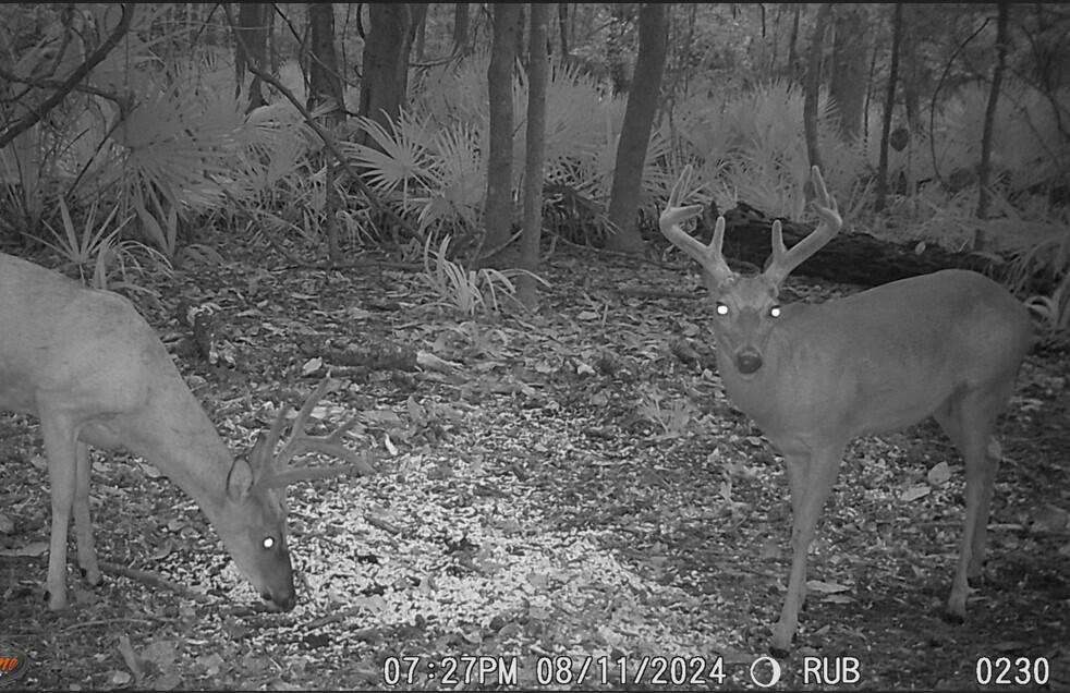 2164 A River Road Johns Island, SC 29455 - Photo 32 of 37 snip 1