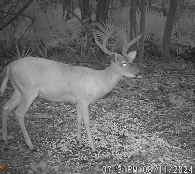 2164 A River Road Johns Island, SC 29455 - Photo 33 of 37 snip 2