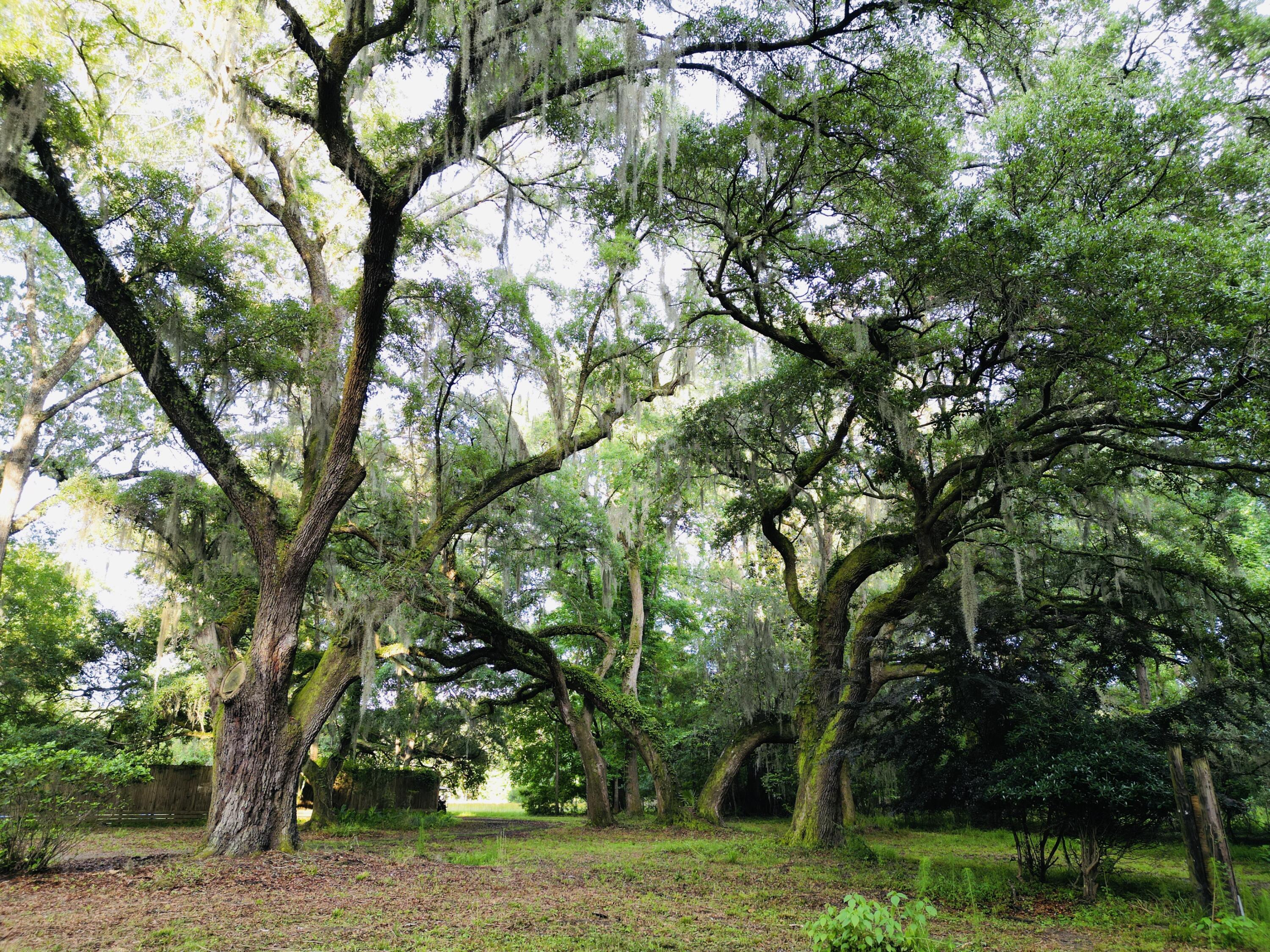 2164 A River Road Johns Island, SC 29455 - Photo 4 of 37 4