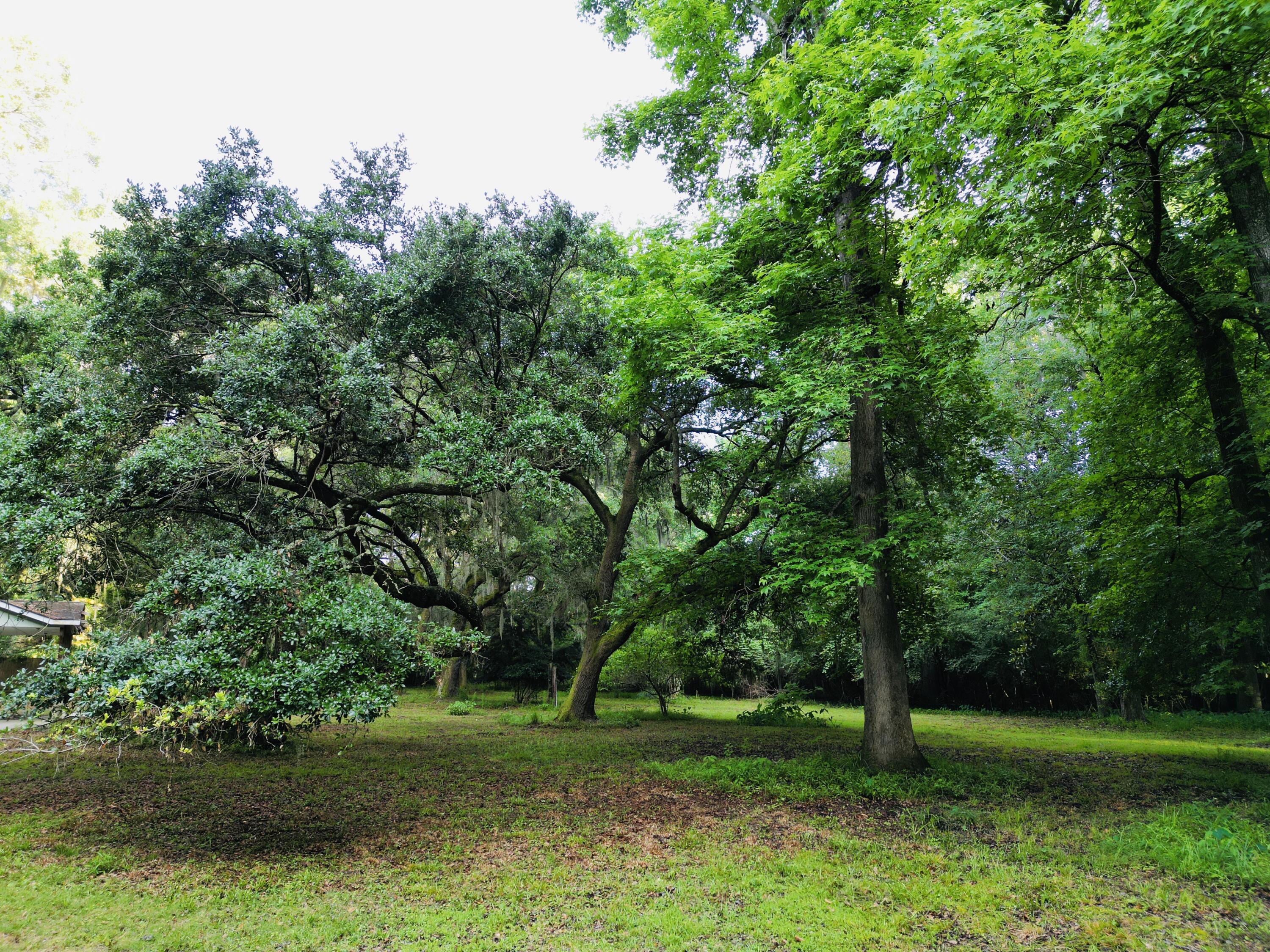 2164 A River Road Johns Island, SC 29455 - Photo 5 of 37 5