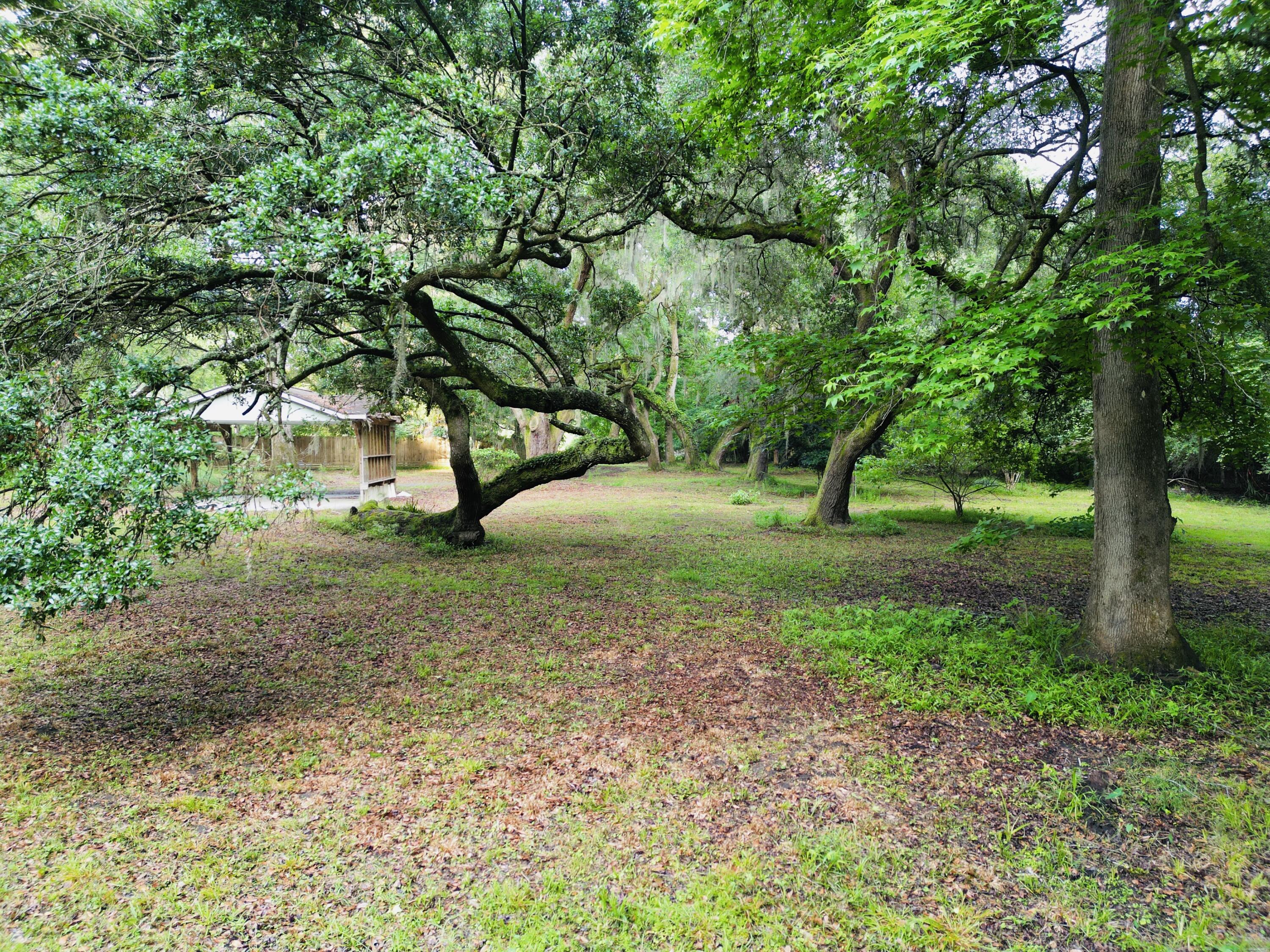 2164 A River Road Johns Island, SC 29455 - Photo 7 of 37 7