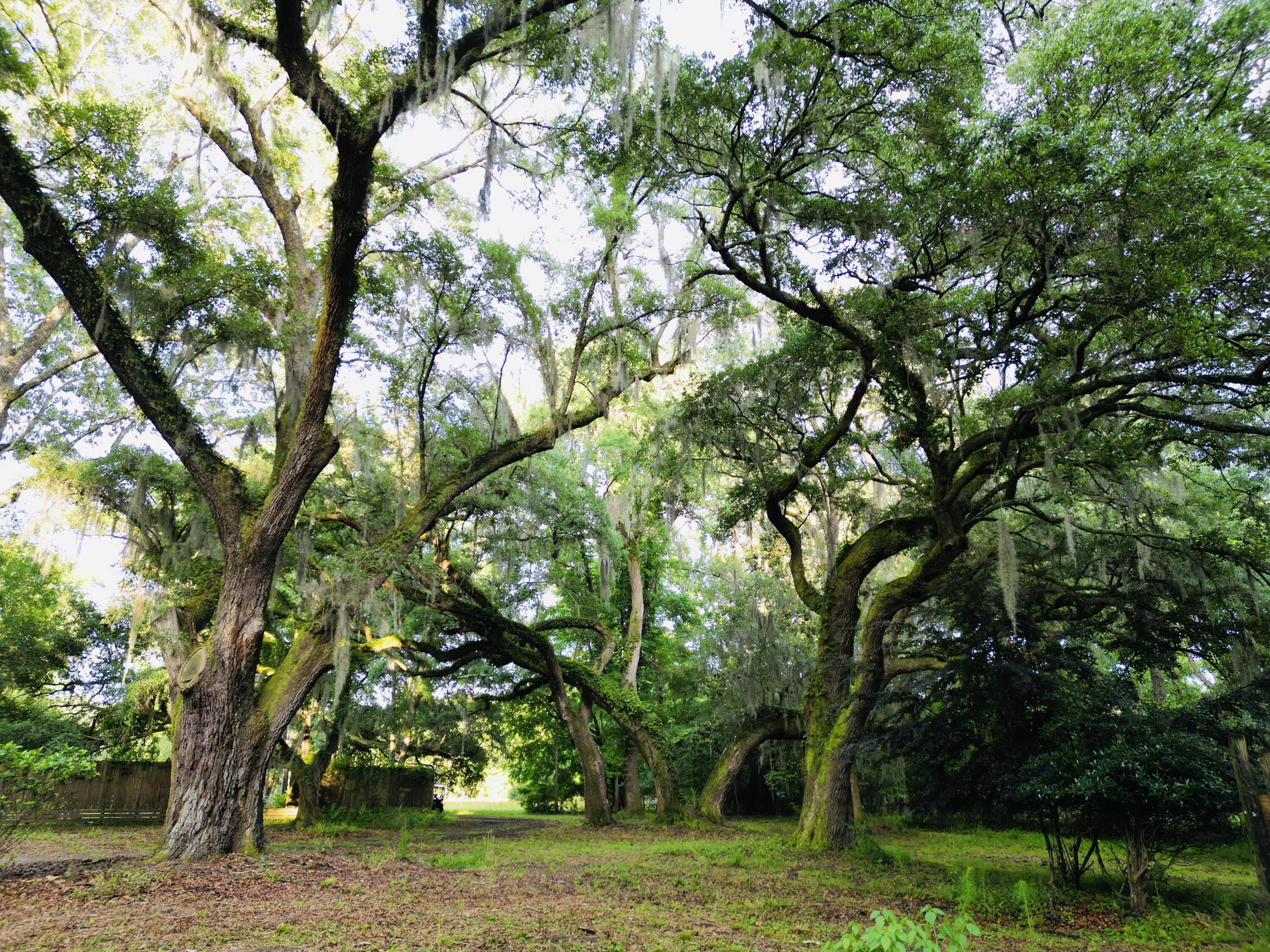2164 A River Road Johns Island, SC 29455 - Photo 8 of 37 8