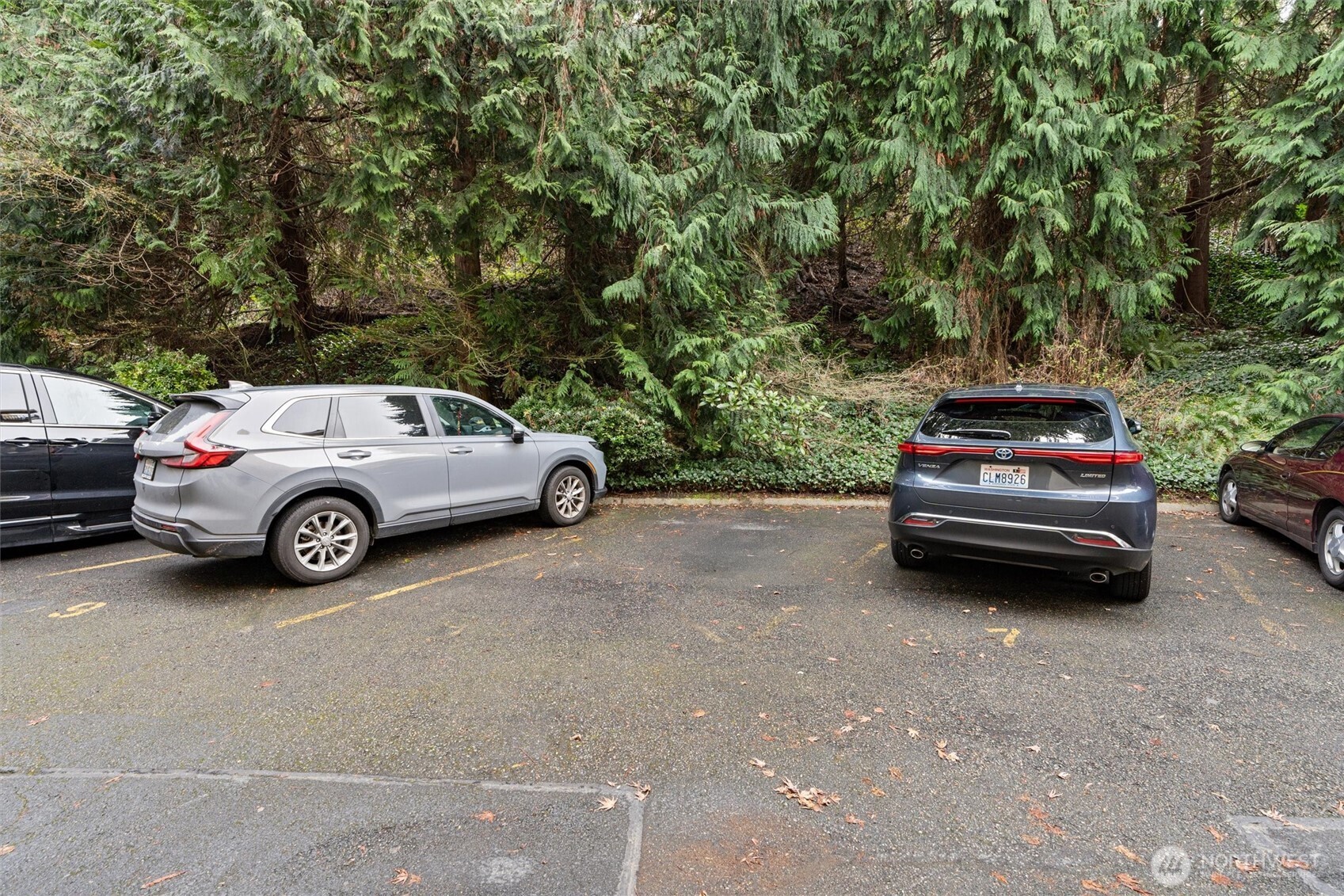 1140 Alki Avenue Southwest, Unit 204 Seattle, WA 98116 - Photo 29 of 31