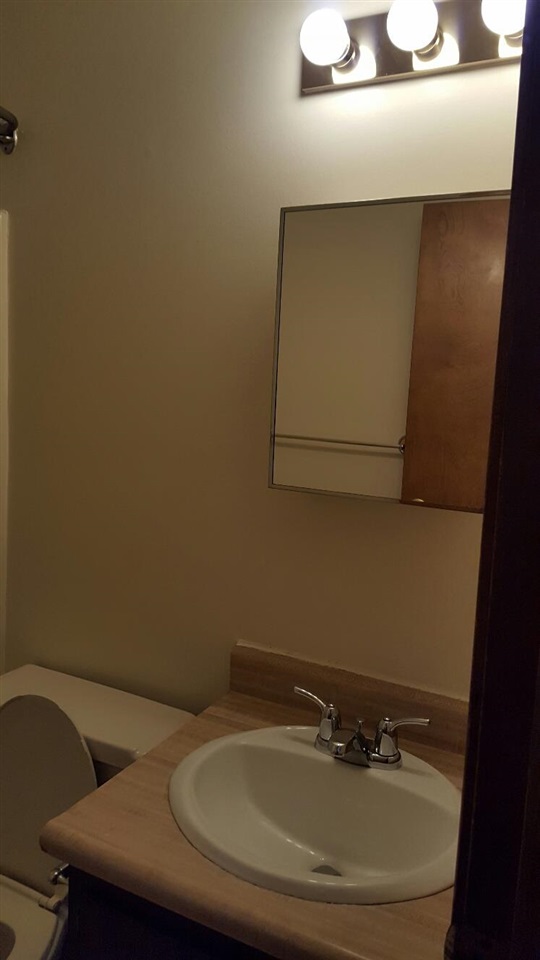 1332 Ridge Road Mount Pleasant, MI 48858 - Photo 10 of 30 1906055-9.JPG