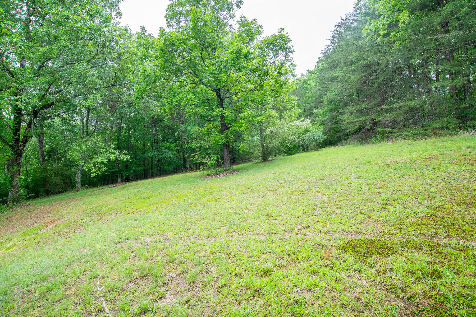 2752 Swanson Road Ringgold, GA 30736 - Photo 22 of 26 Swanson B Hill