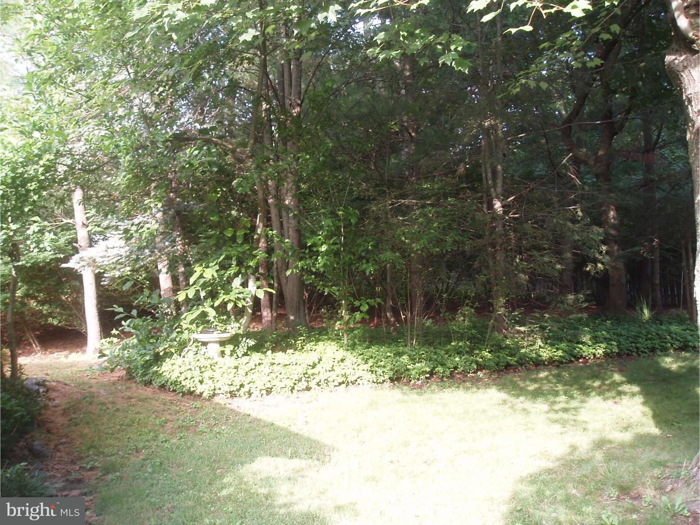 610 Cowpath Road Lansdale, PA 19446 - Photo 22 of 25 View in Back