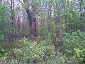 Lot 11 Mt Lebanon Road Troy, NC 27371 - Photo 1 of 1 Gallery Image 1